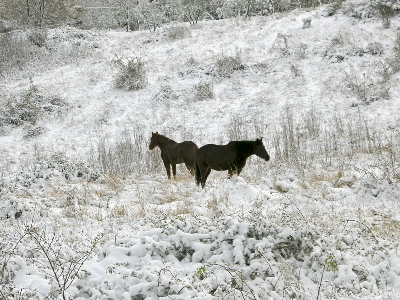 La magica atmosfera del Chianti innevato